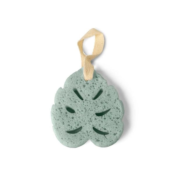 Super Sudsy Soap Sponge - Soothing Aloe