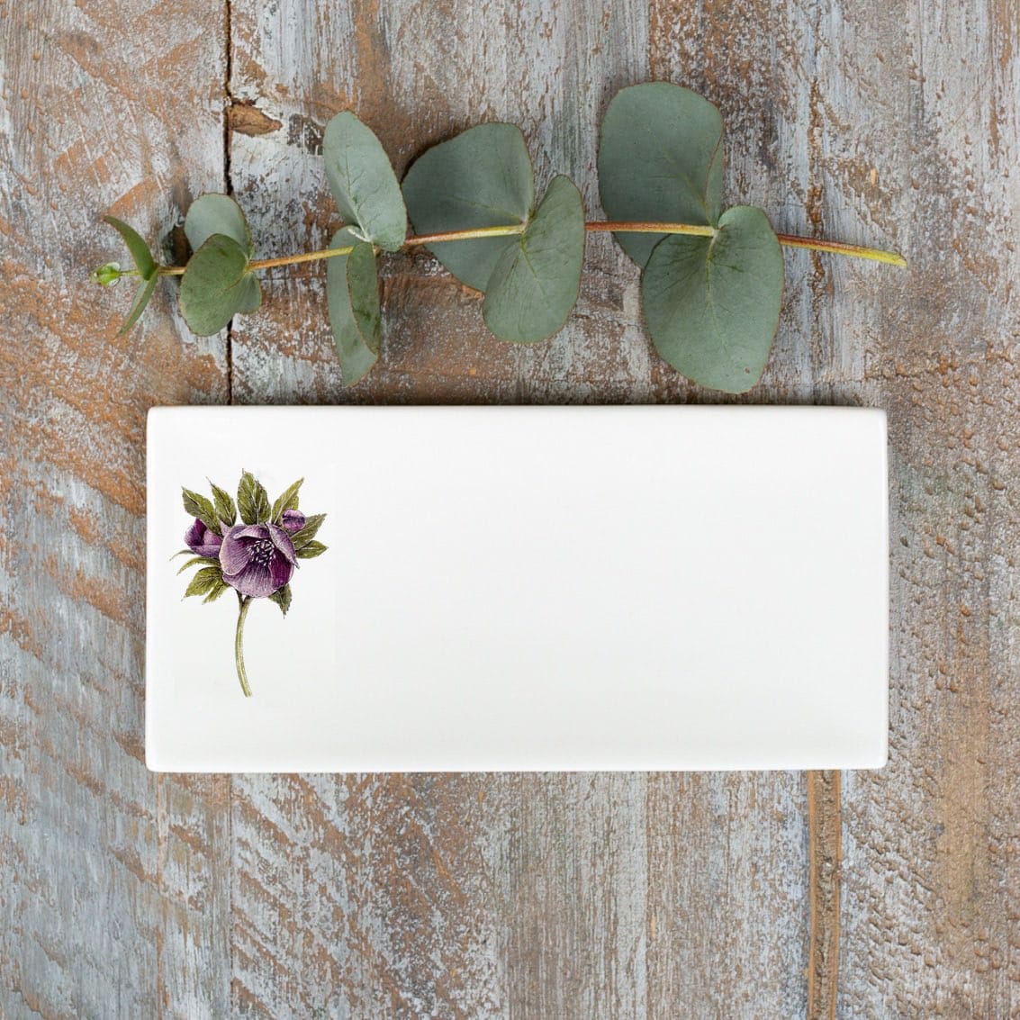 Bone China Soap Dish - Hellebore