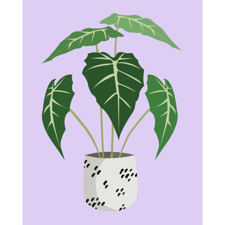 Pink Picasso Paint By Numbers Kit - Just Leafy