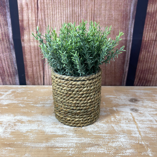 Life-Like Plant in Woven Planter - Style 2