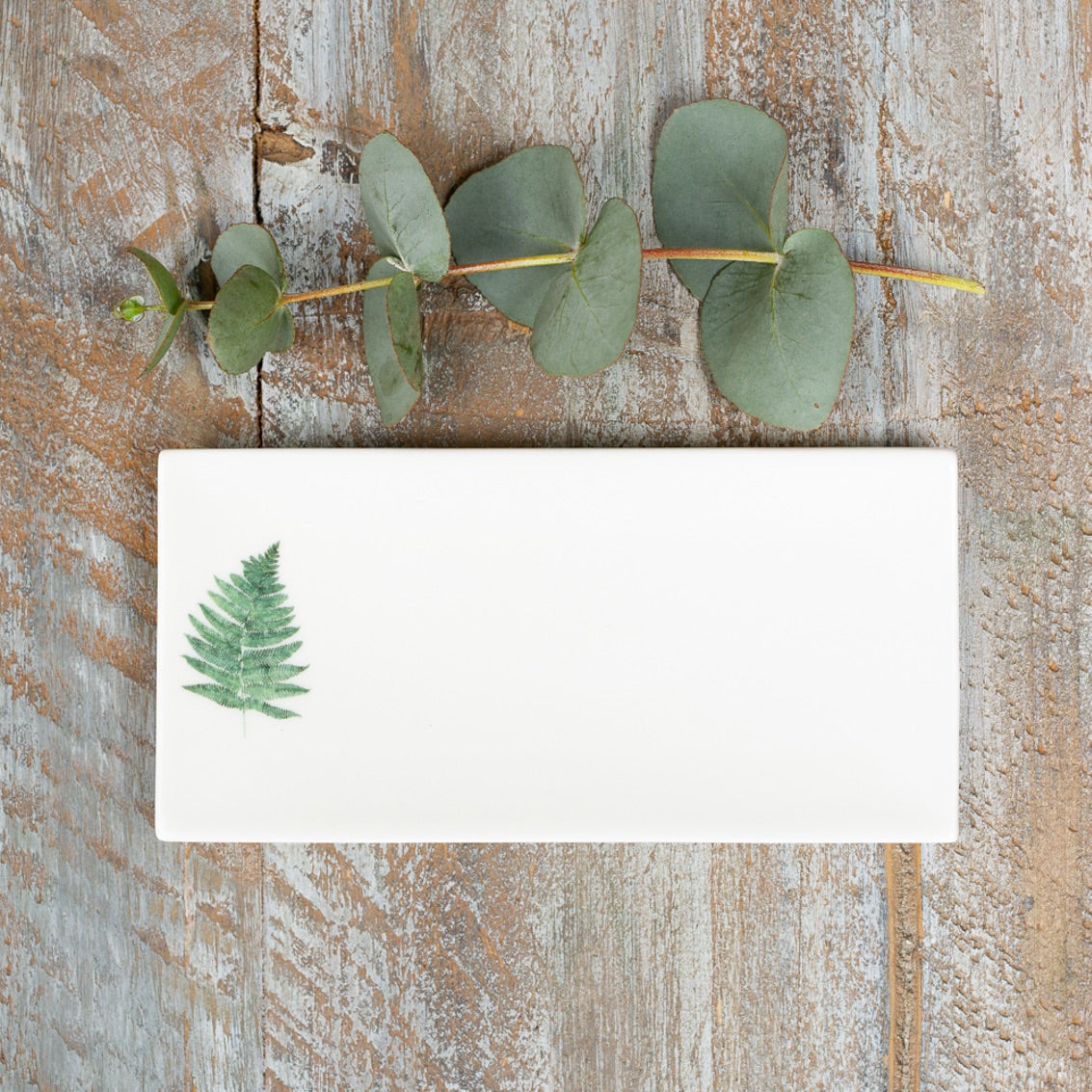 Bone China Soap Dish - Fern
