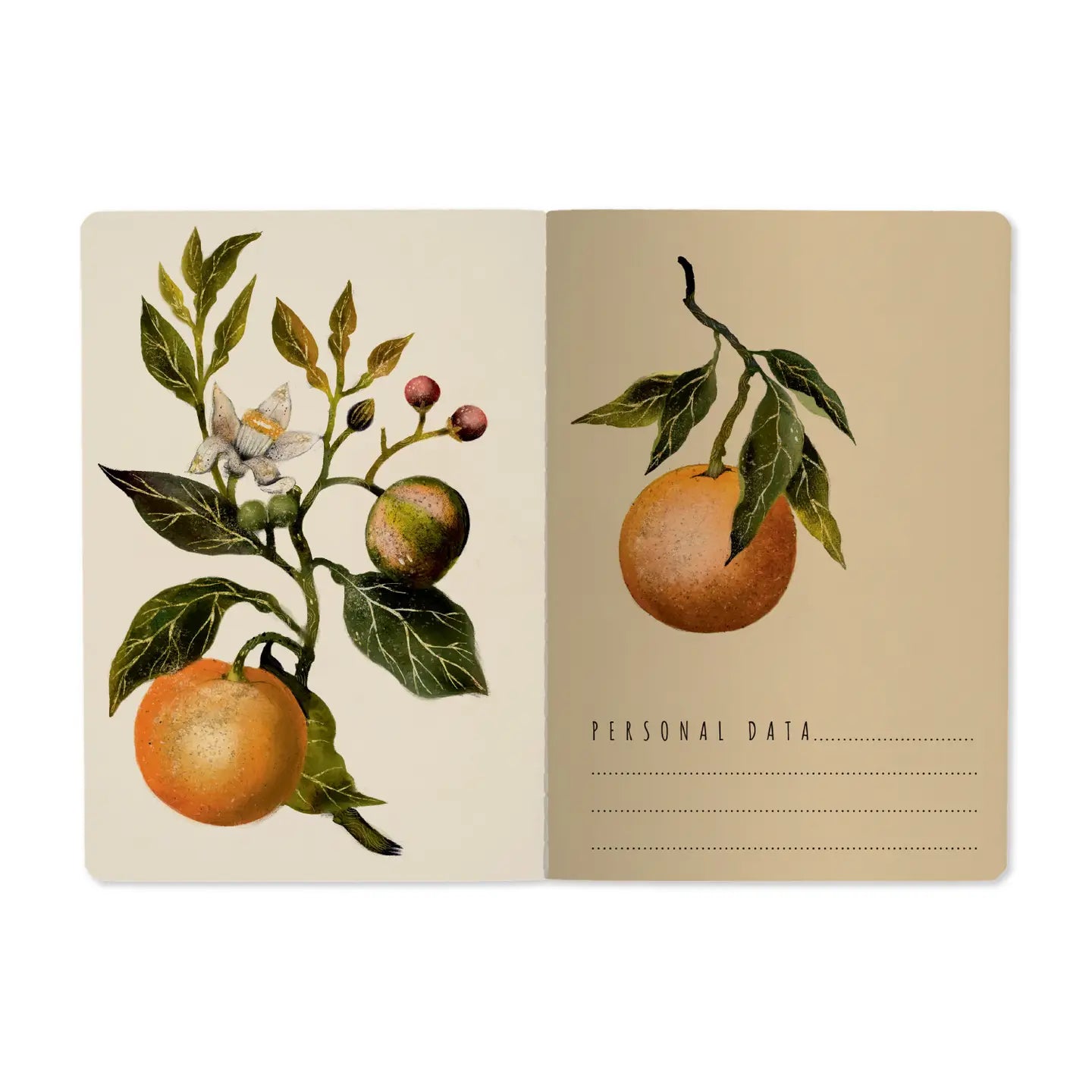 Notebook 8x6 - Oranges & Blossoms
