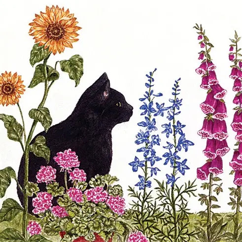 Flour Sack Towel - New Cat