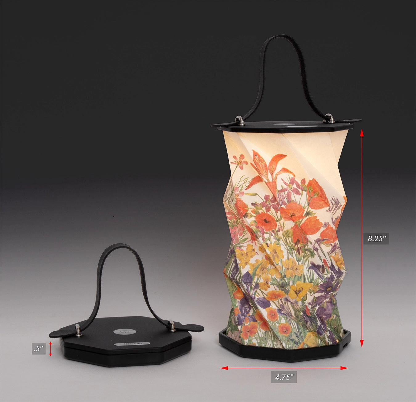Origami Lantern - Mary Vaux Walcott Botanical