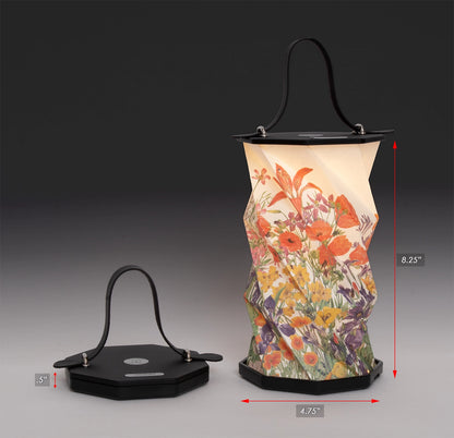 Origami Lantern - Mary Vaux Walcott Botanical