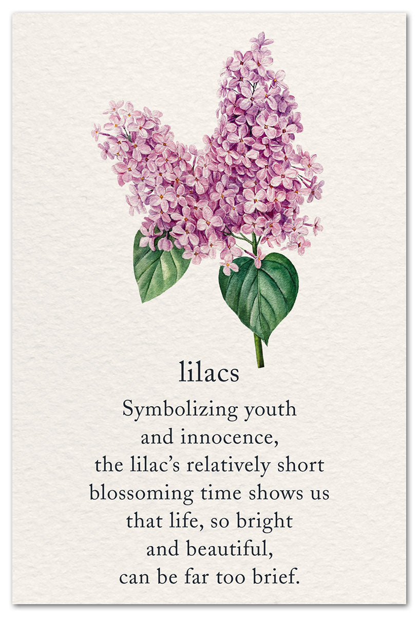 Cardthartic - Lilacs (Condolence)