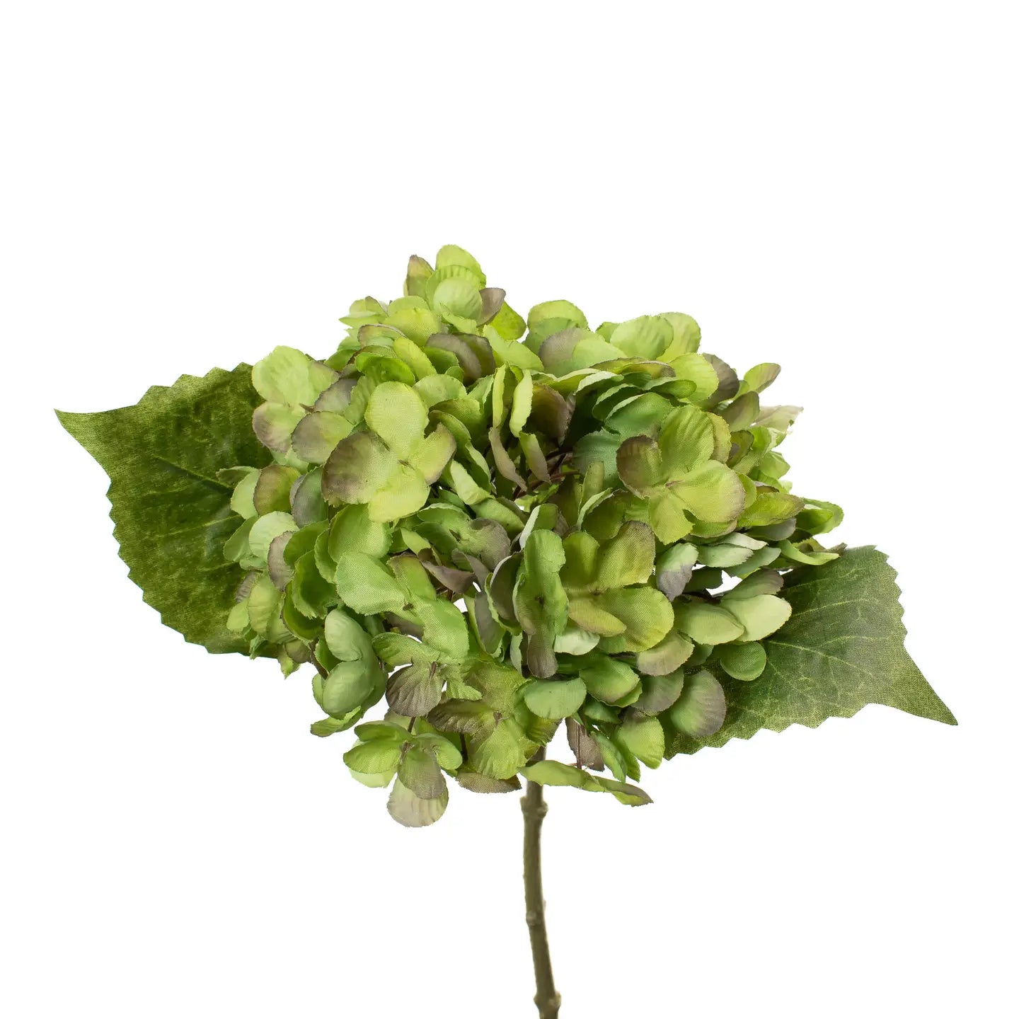 Faux Hydrangea 13in - Kiwi Green