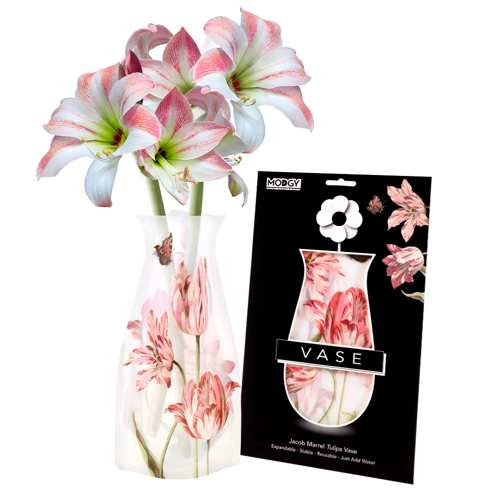 Expandable Flower Vase - Jacob Marrel Tulips