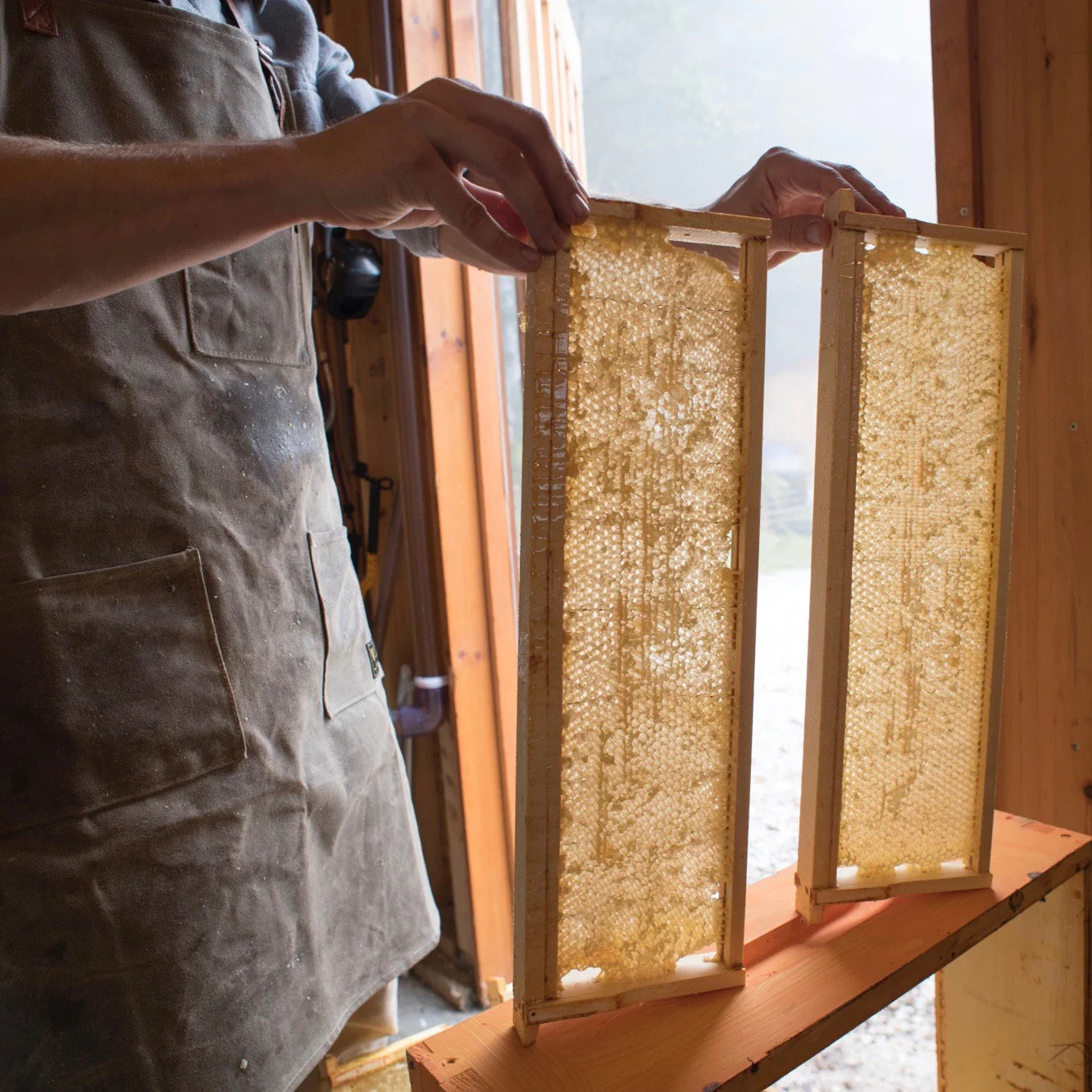 Vermont Raw Honey - 1/2 lb