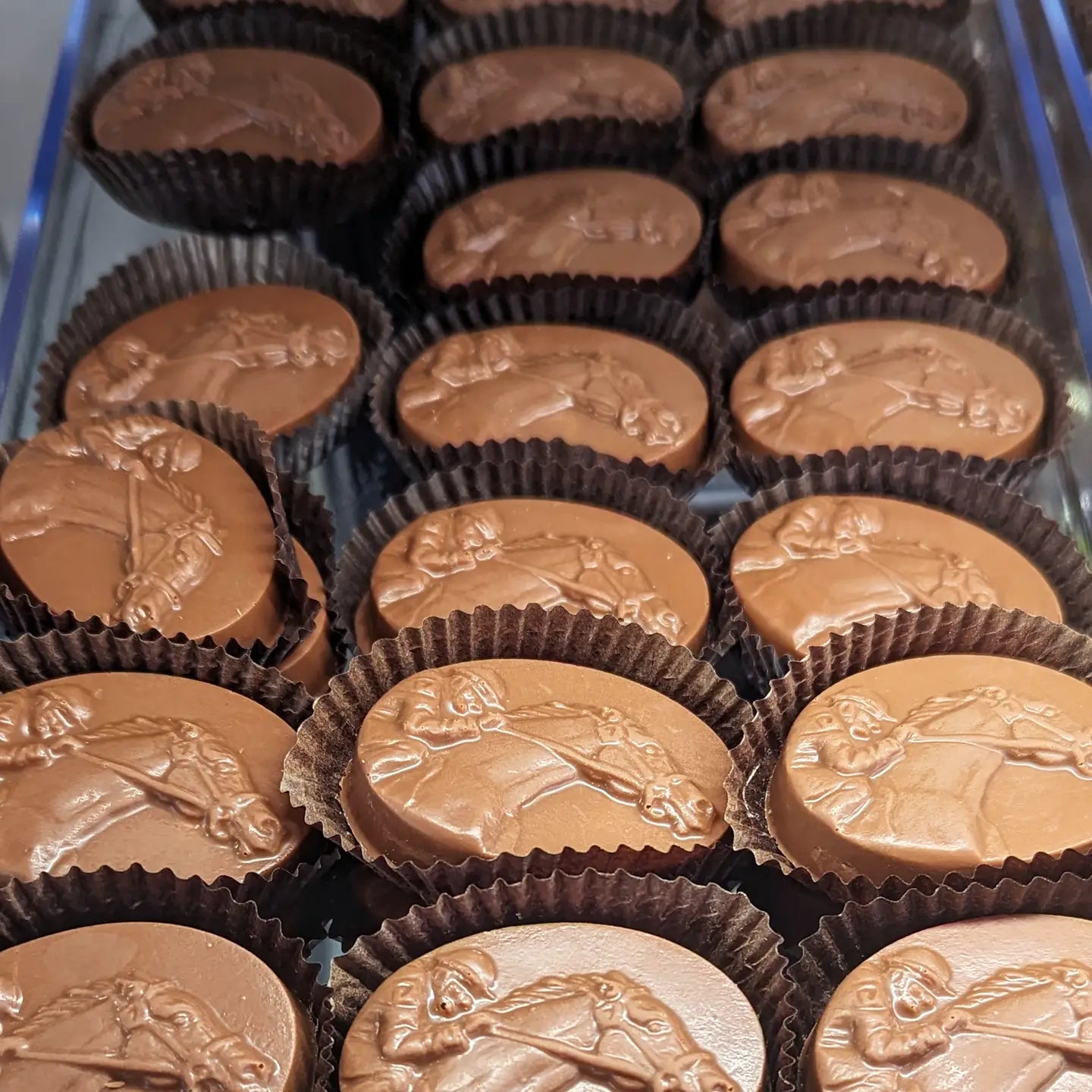 Gable Box - 6 Pcs Sea Biscuits