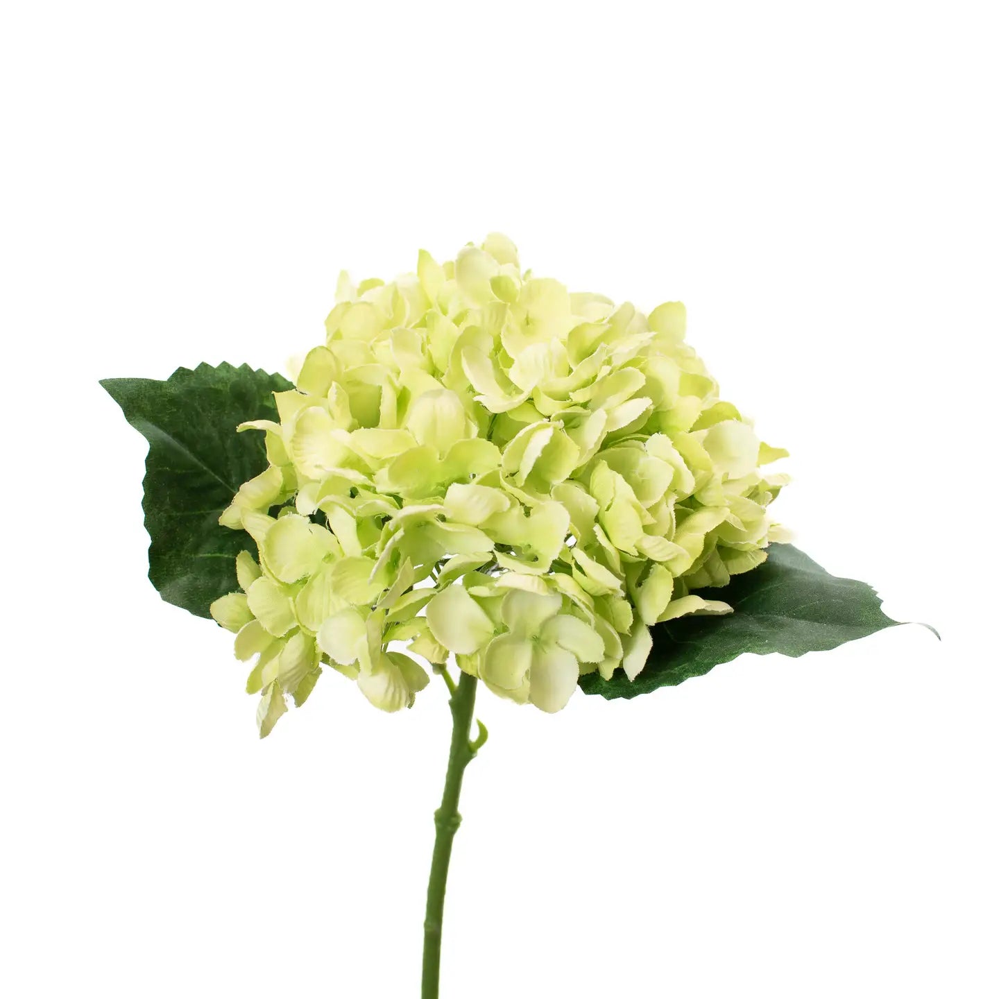 Faux Hydrangea 13in - Limelight / Green