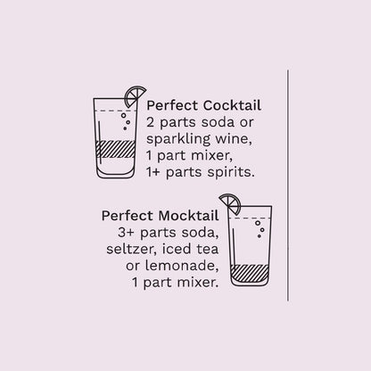 Cocktail and Mocktail Mixer 16oz - Bee's Knees