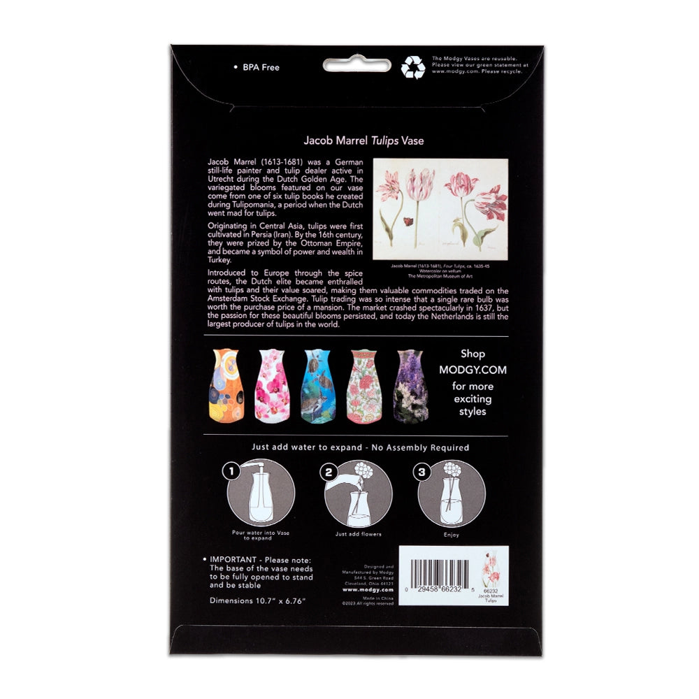 Expandable Flower Vase - Jacob Marrel Tulips