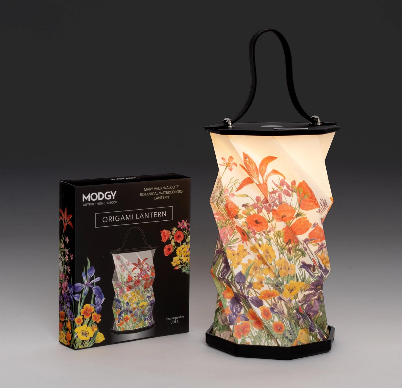 Origami Lantern - Mary Vaux Walcott Botanical