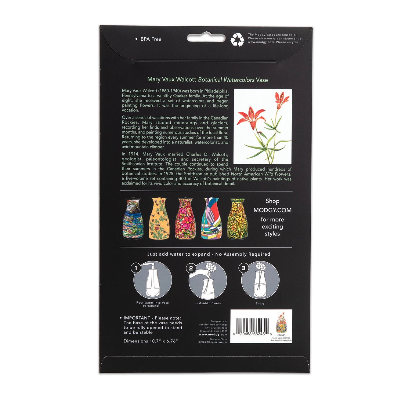 Expandable Flower Vase - Mary Vaux Walcott Botanicals