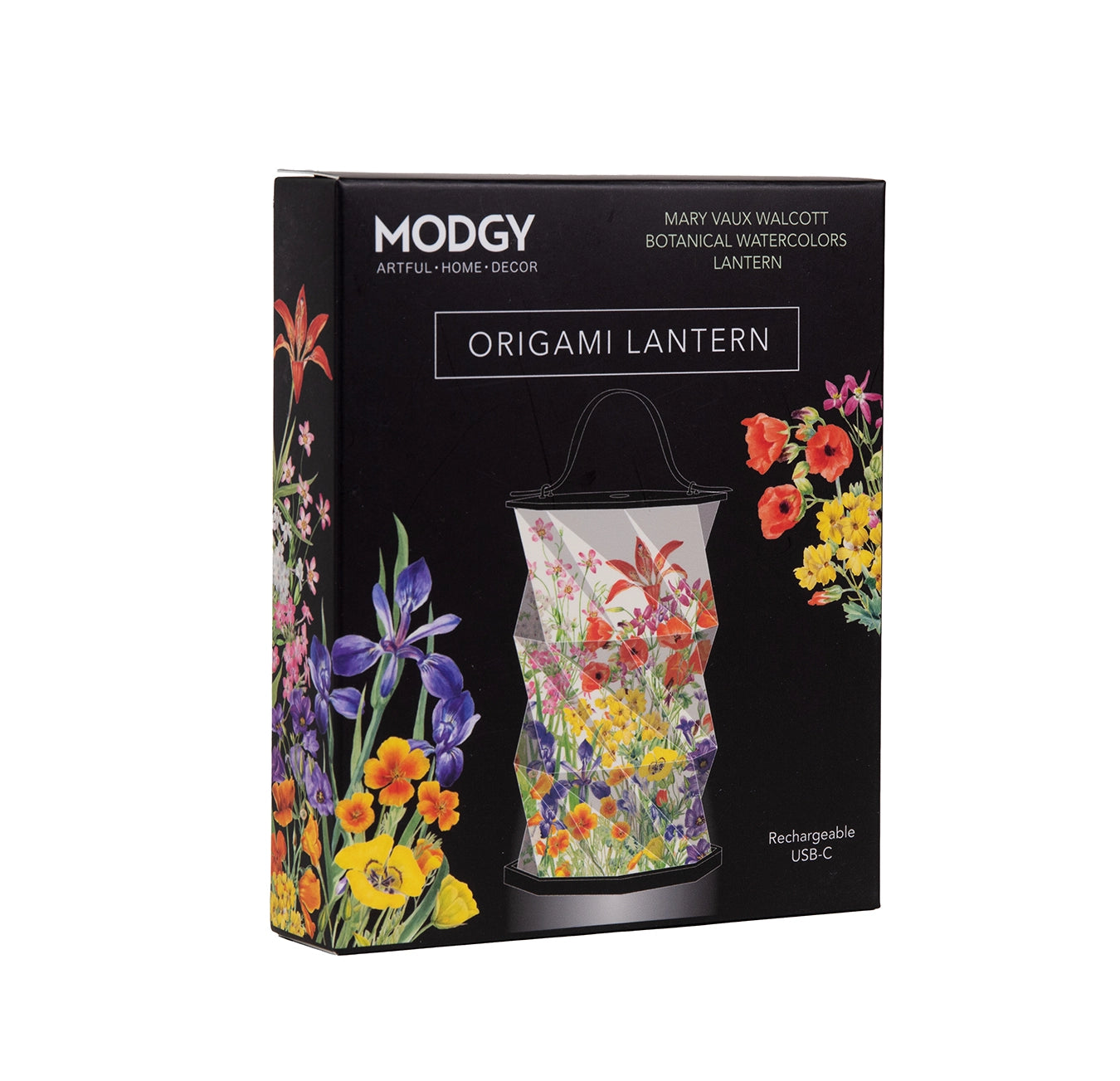 Origami Lantern - Mary Vaux Walcott Botanical