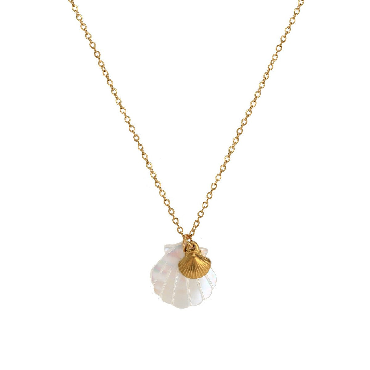 Stainless Steel Necklace - Shell & Shell