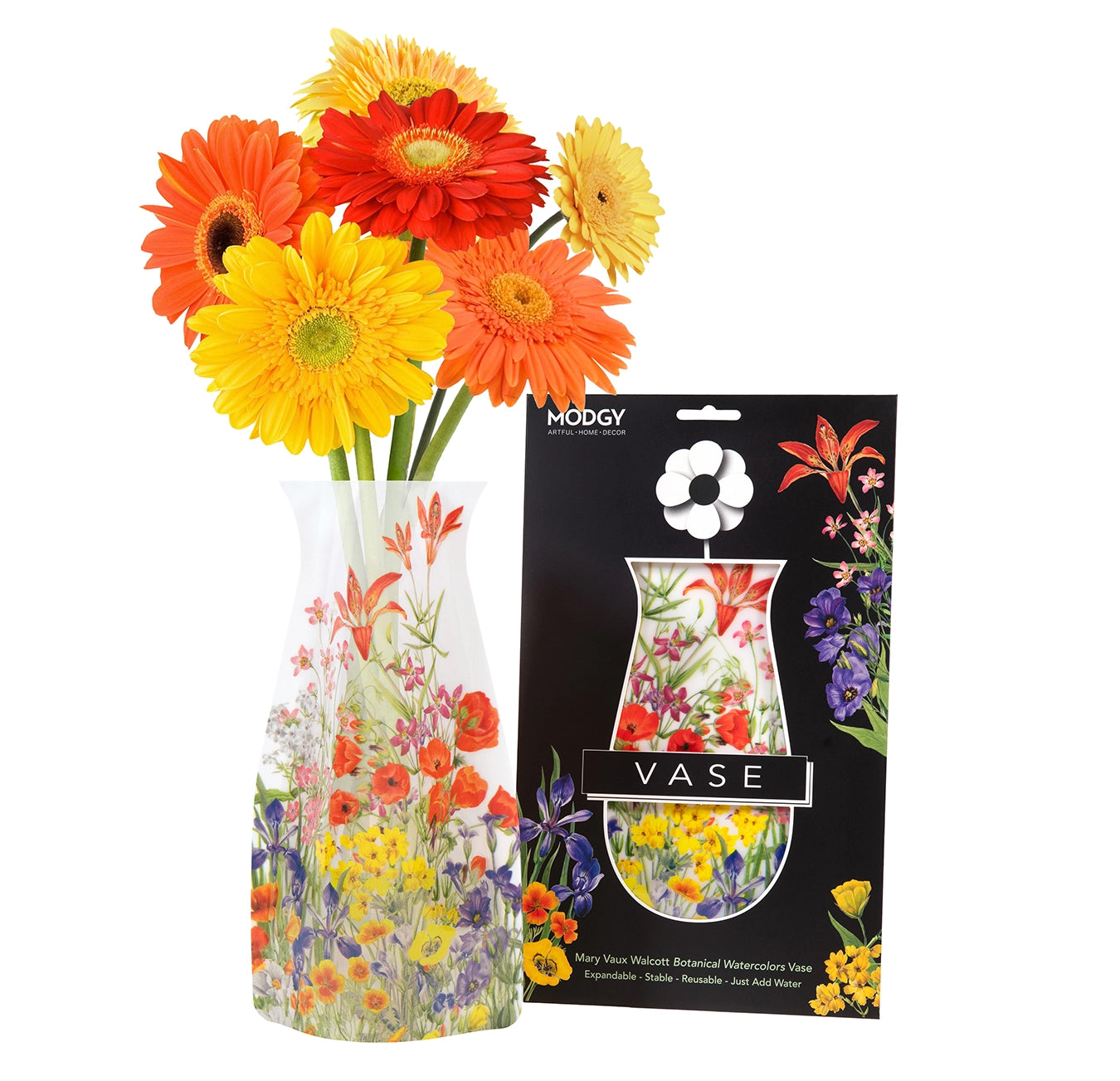 Expandable Flower Vase - Mary Vaux Walcott Botanicals