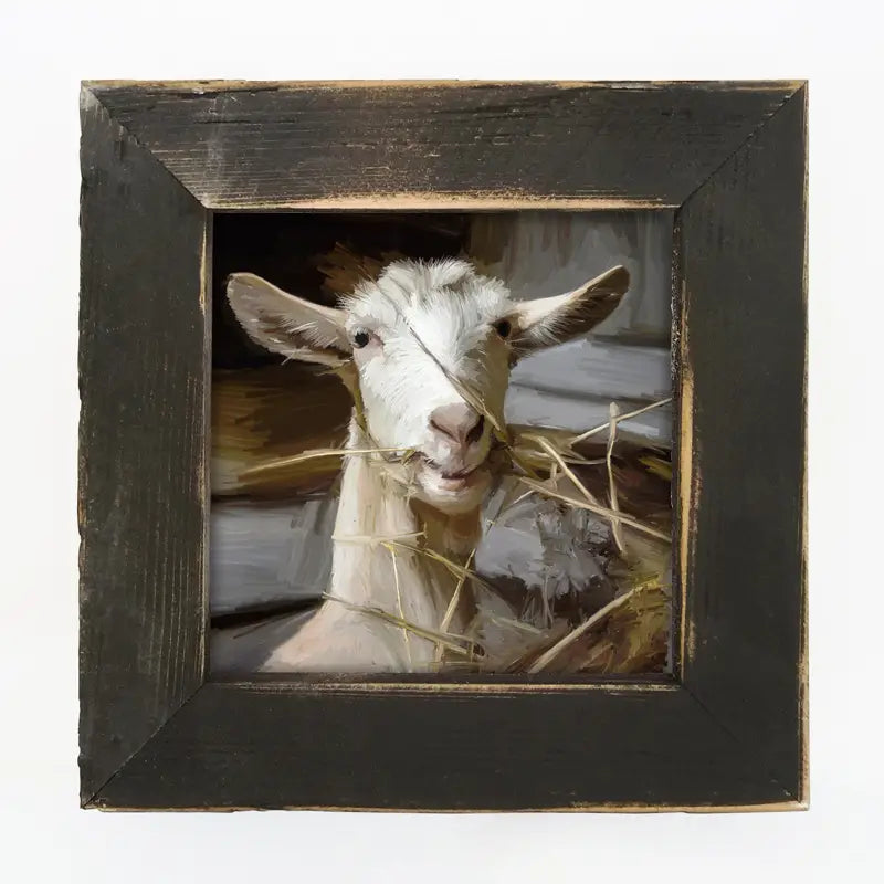Framed Art 8in - Goat Eating Grass