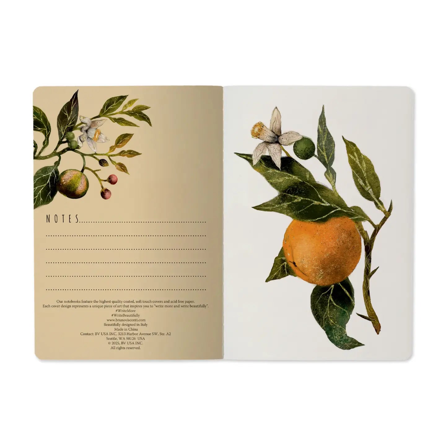 Notebook 8x6 - Oranges & Blossoms