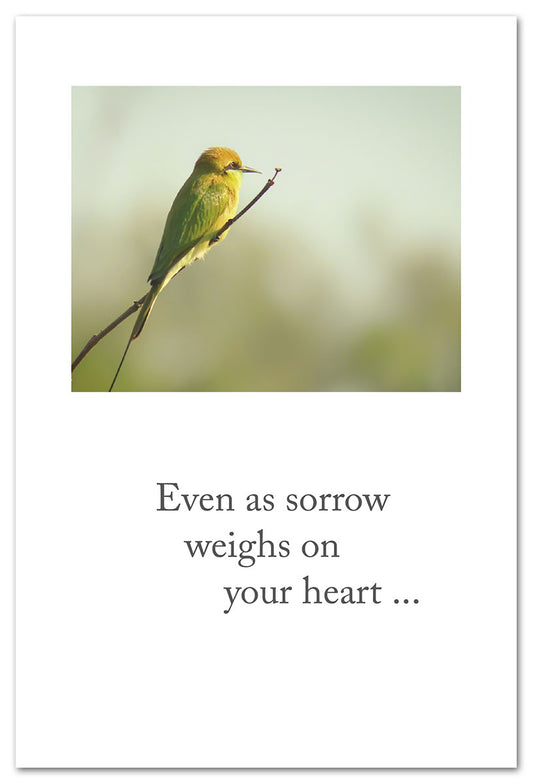 Cardthartic - Pensive Bee-eater (Condolence)