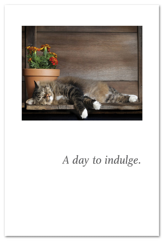 Cardthartic - Happy Cat Napping (Birthday)