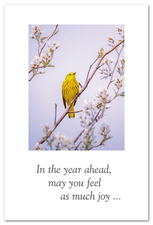 Cardthartic - Yellow Warbler