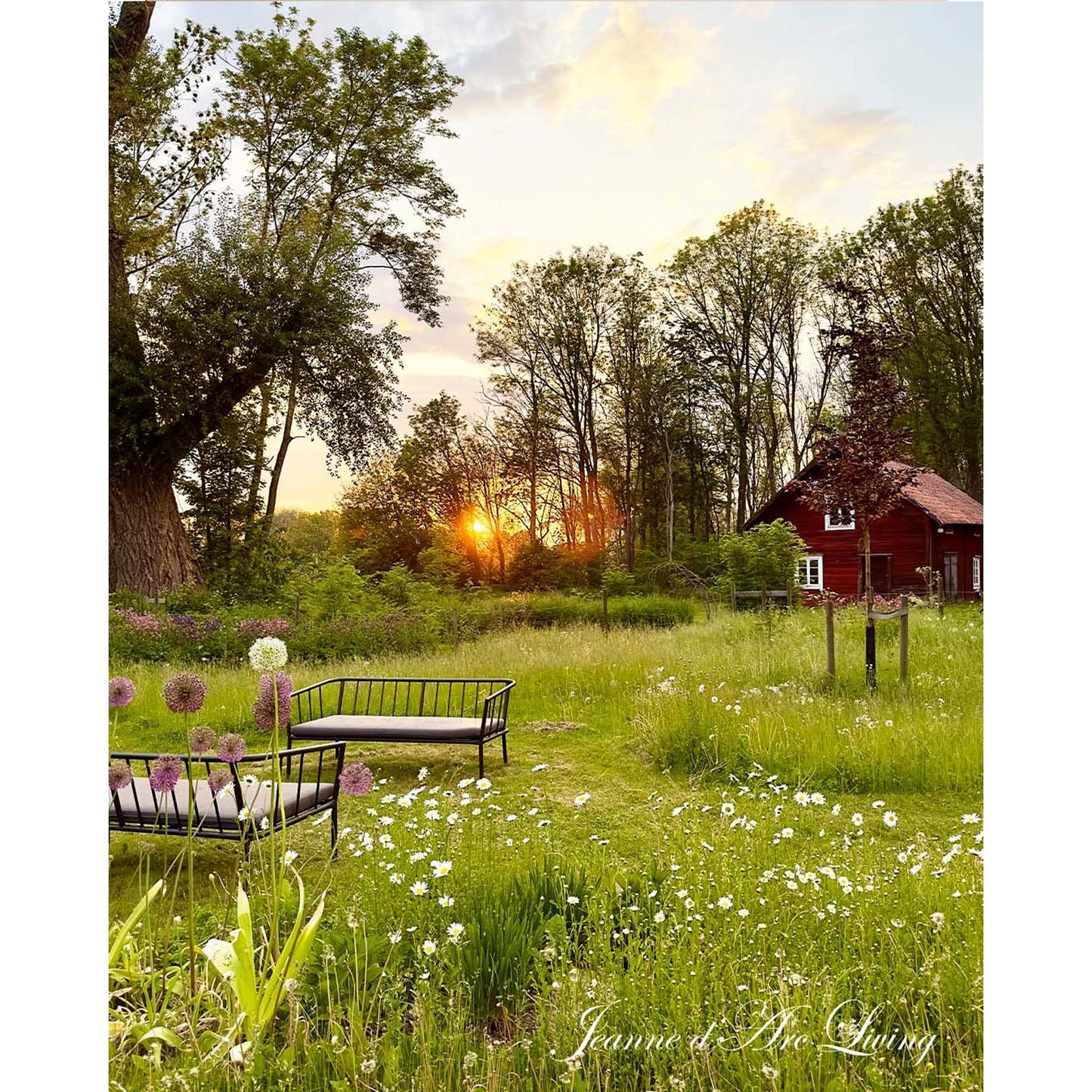 Jeanne D' Arc Living Magazine - 5th Issue 2025