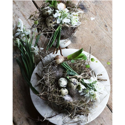 Jeanne D' Arc Living Magazine - 2nd Issue 2026