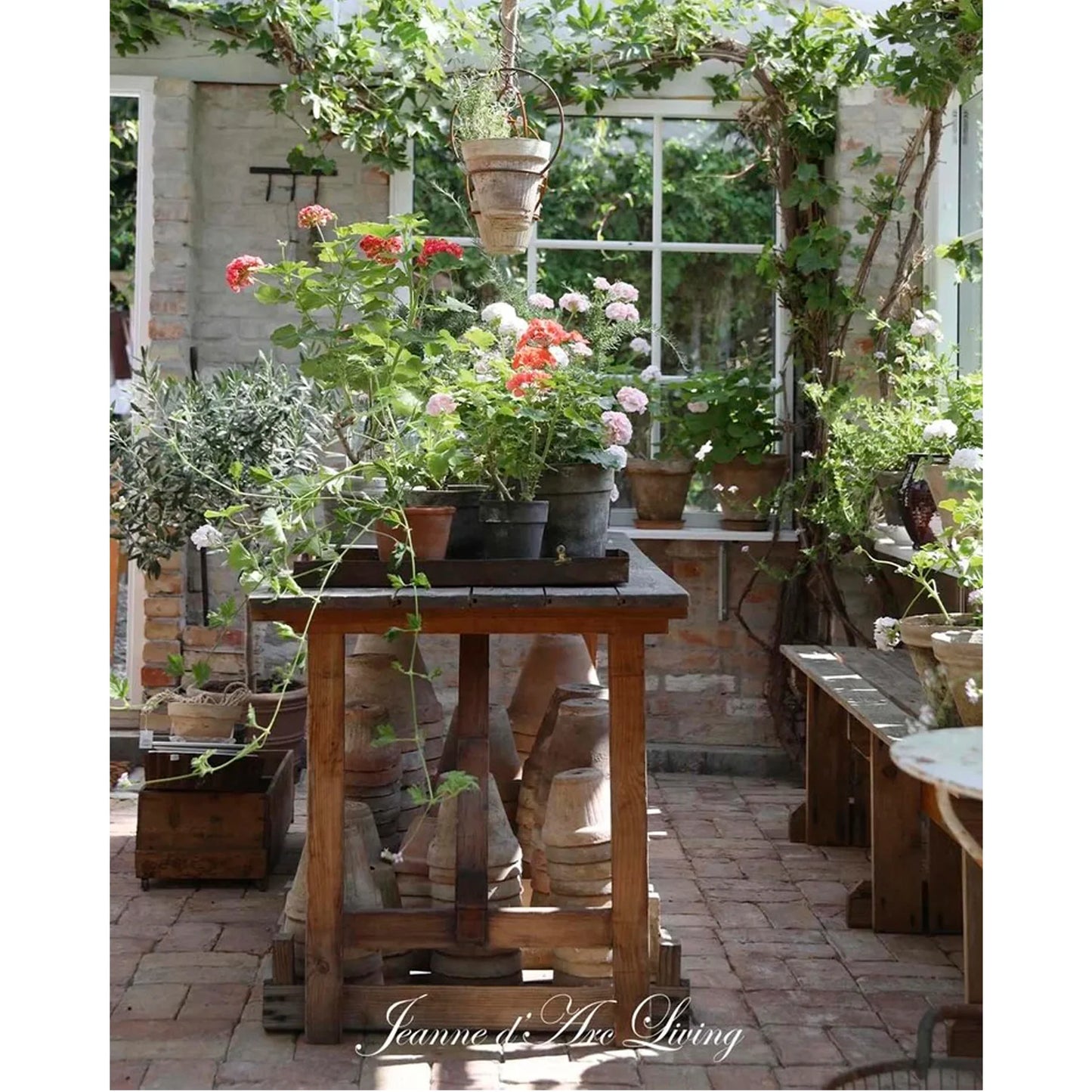 Jeanne D' Arc Living Magazine - 5th Issue 2026