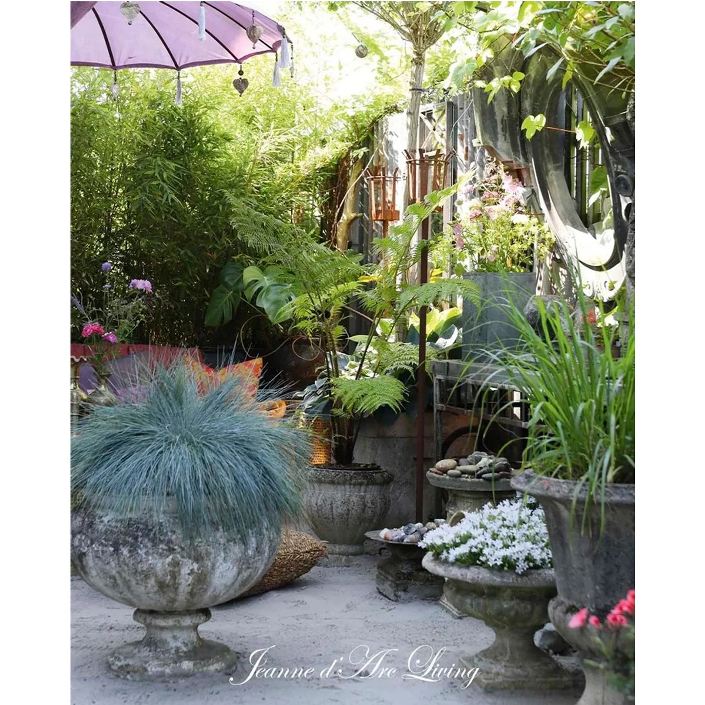 Jeanne D' Arc Living Magazine - 5th Issue 2026