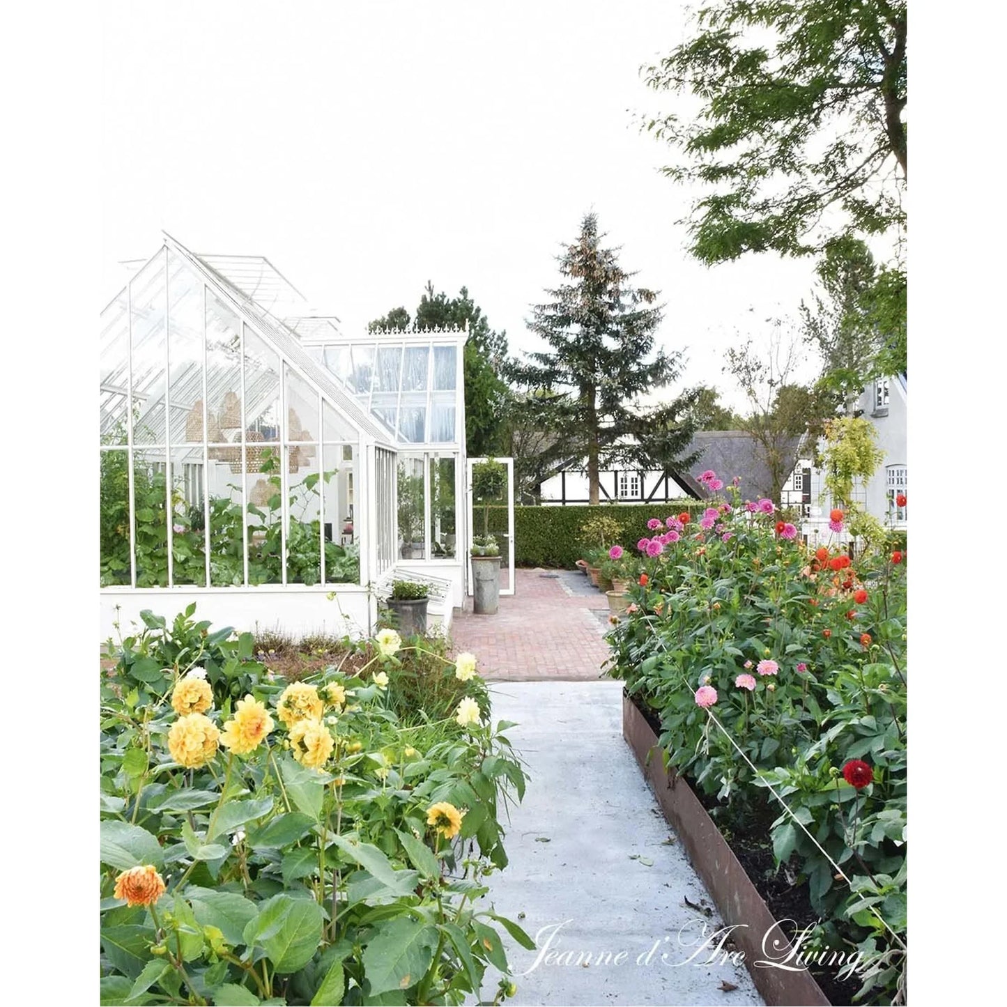 Jeanne D' Arc Living Magazine - 6th Issue 2025