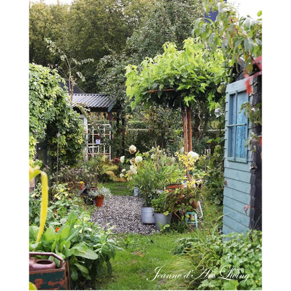 Jeanne D' Arc Living Magazine - 6th Issue 2025