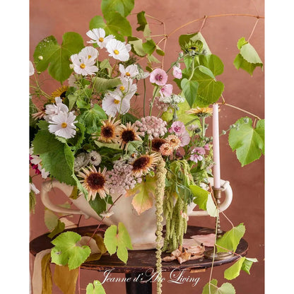 Jeanne D' Arc Living Magazine - 6th Issue 2026