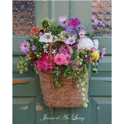 Jeanne D' Arc Living Magazine - 6th Issue 2026