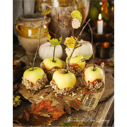 Jeanne D' Arc Living Magazine - 7th Issue 2025