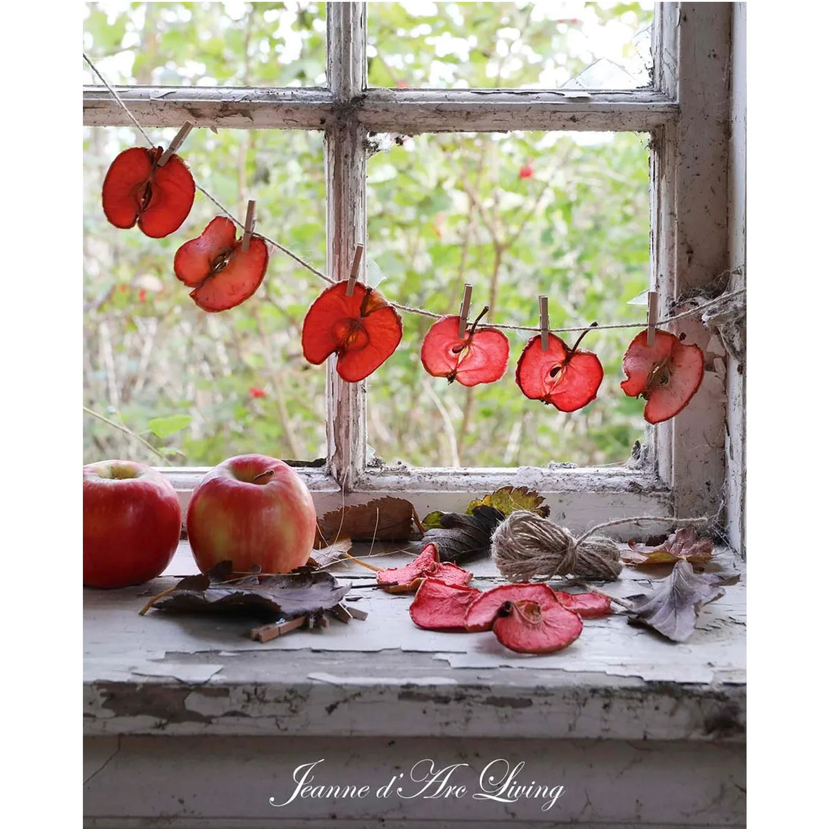 Jeanne D' Arc Living Magazine - 7th Issue 2026