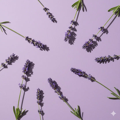 Dusting Powder - Lavender