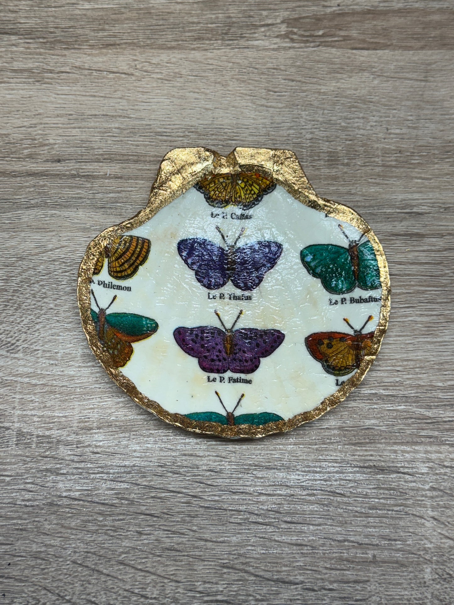Decoupaged Scallop Shell - Butterfly Names