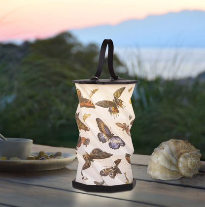 Origami Lantern - Flutterby