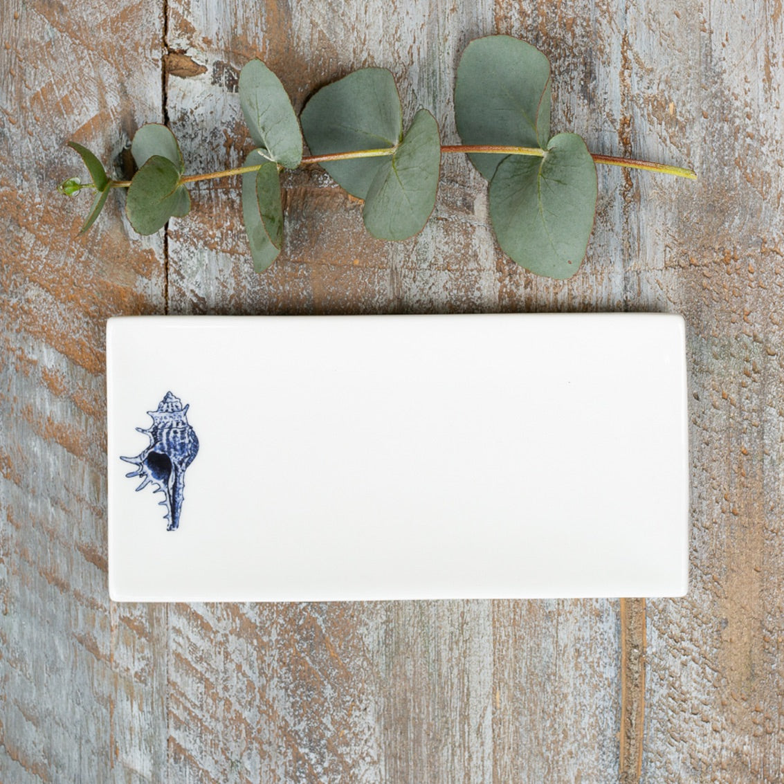 Bone China Soap Dish - Conch
