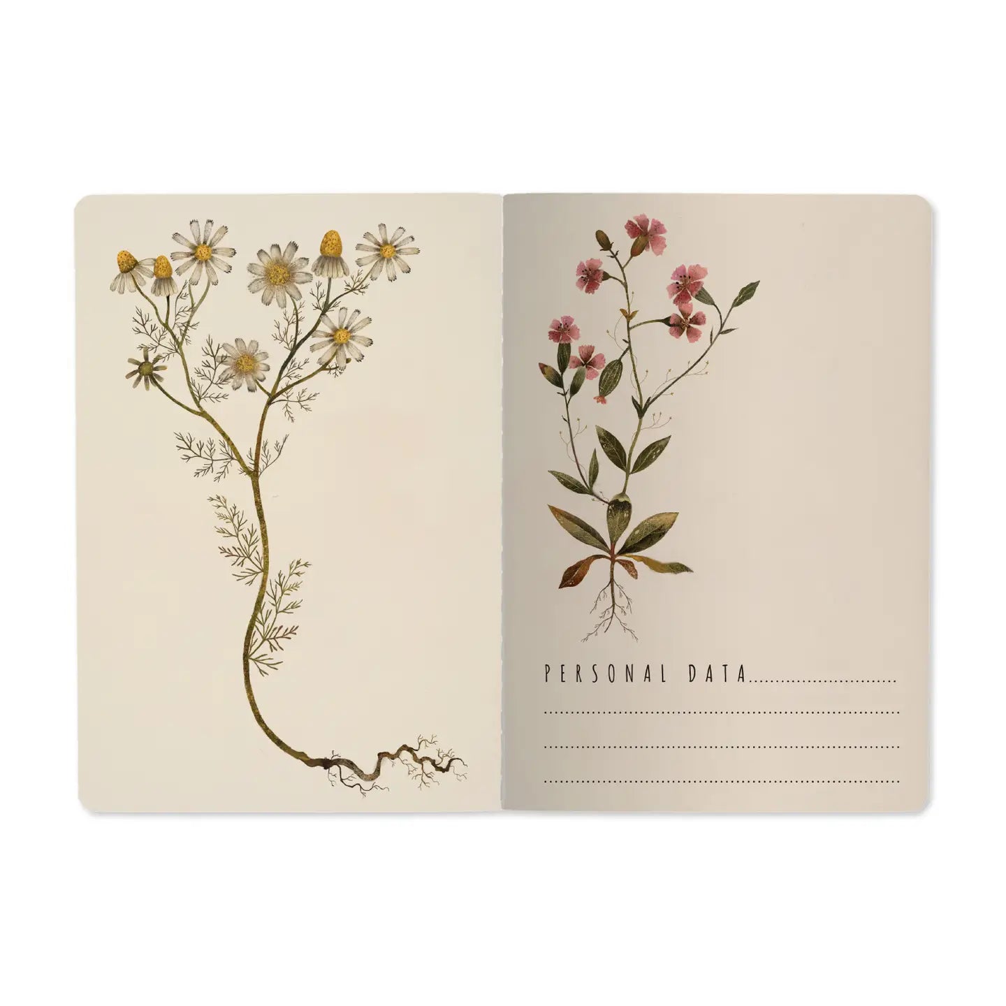 Notebook 8x6 - Violets and Greens