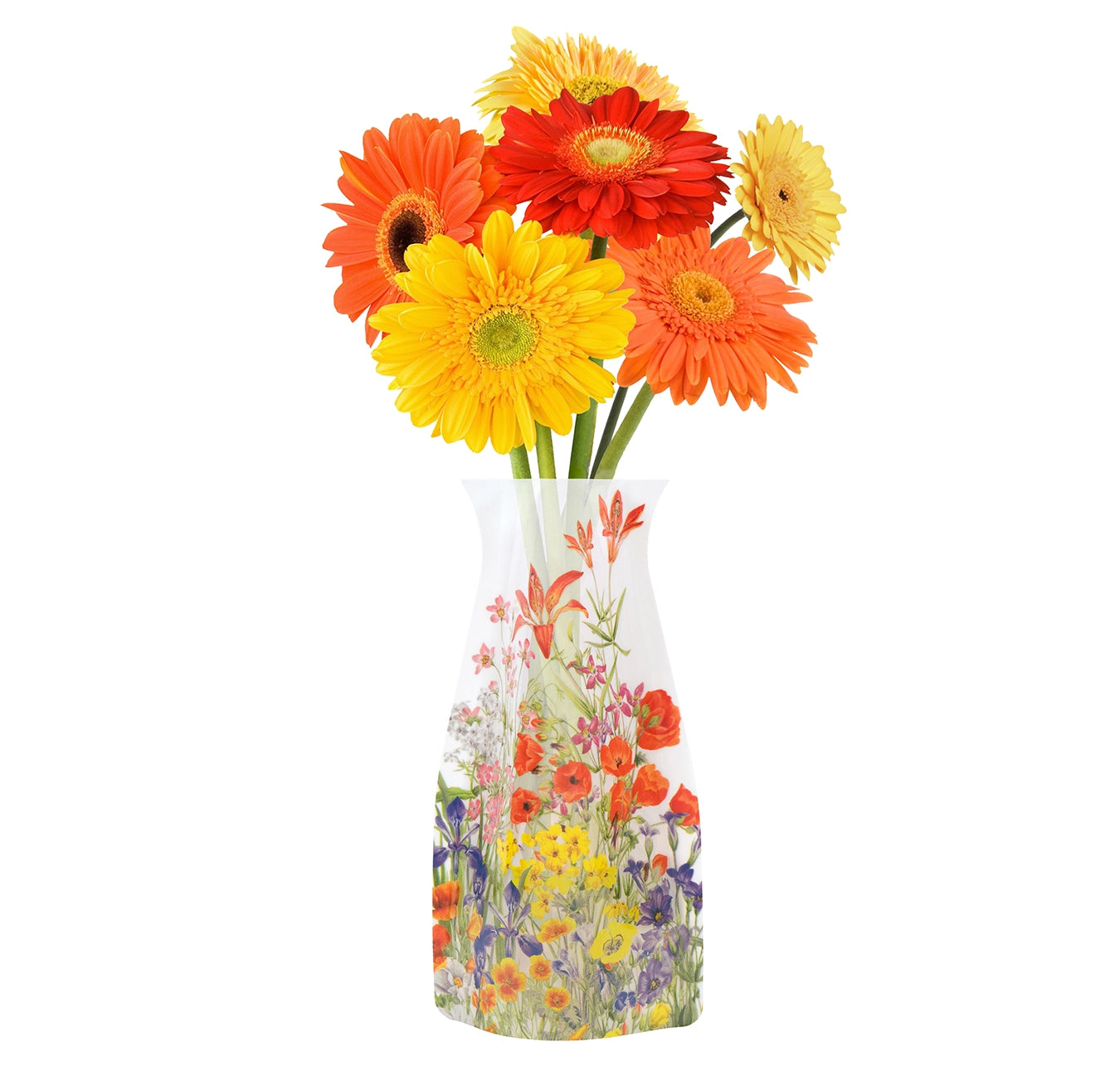 Expandable Flower Vase - Mary Vaux Walcott Botanicals