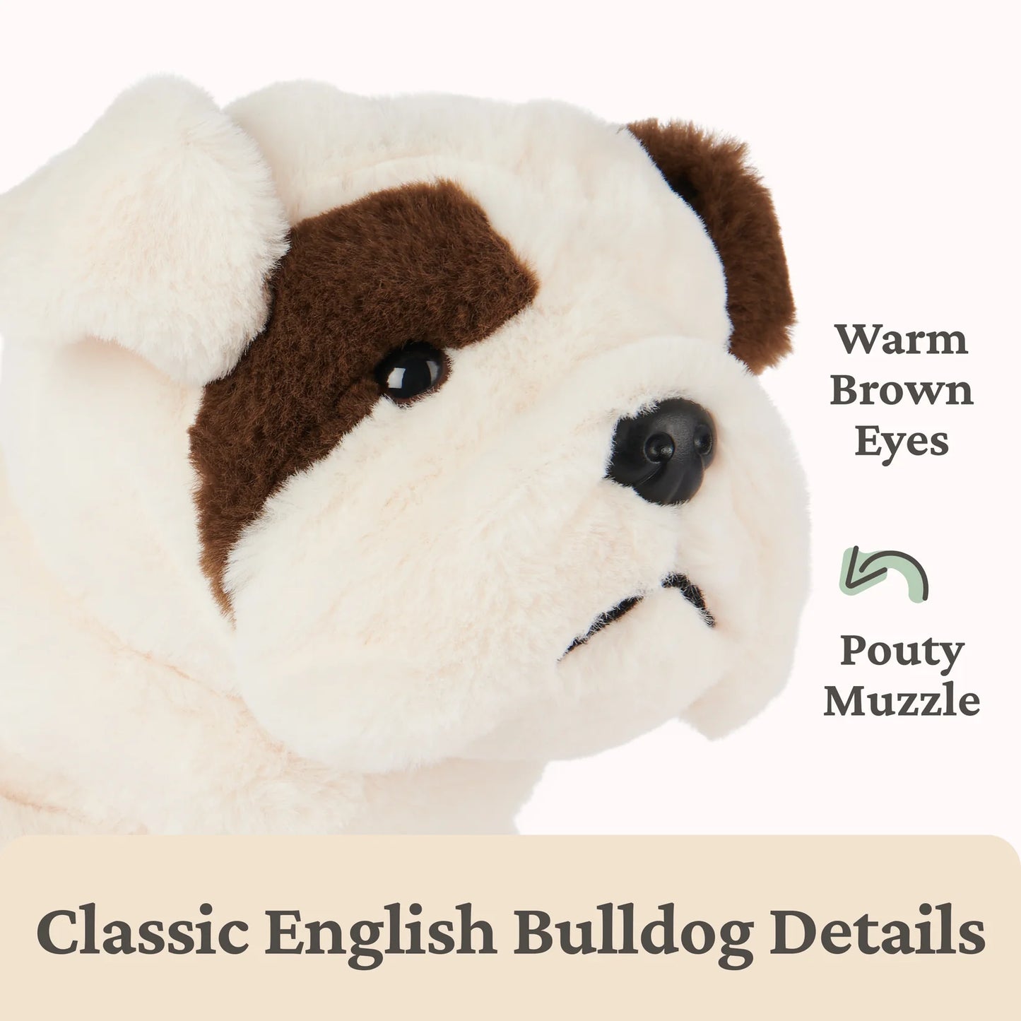 Toast Bulldog, 10 in