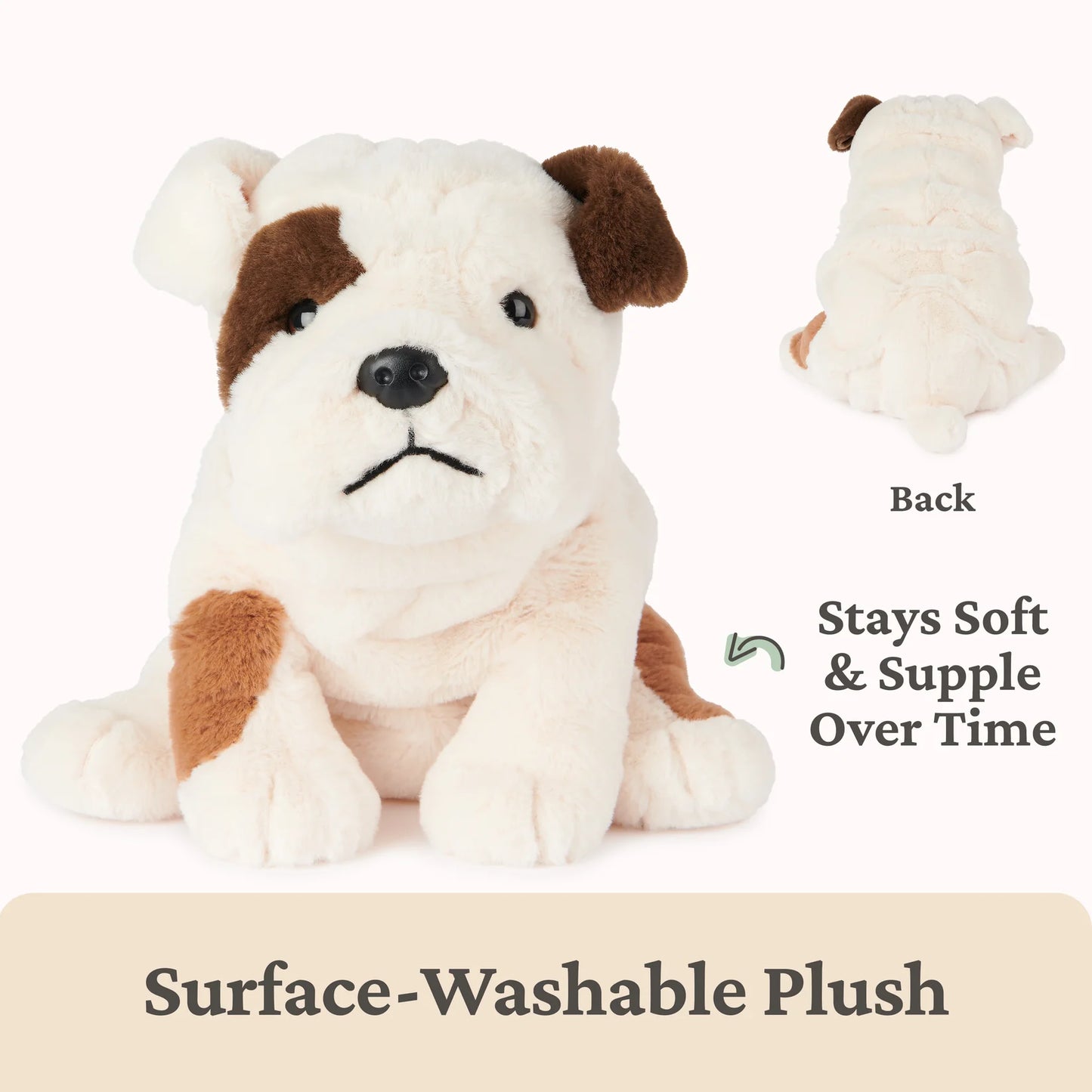 Toast Bulldog, 10 in