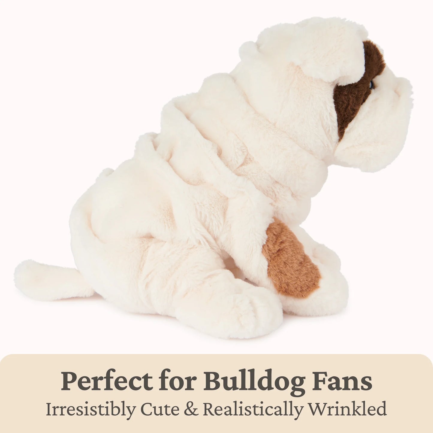 Toast Bulldog, 10 in