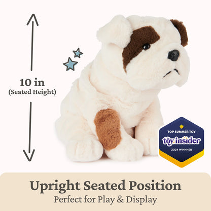 Toast Bulldog, 10 in