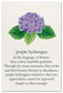 Cardthartic - Purple Hydrangea