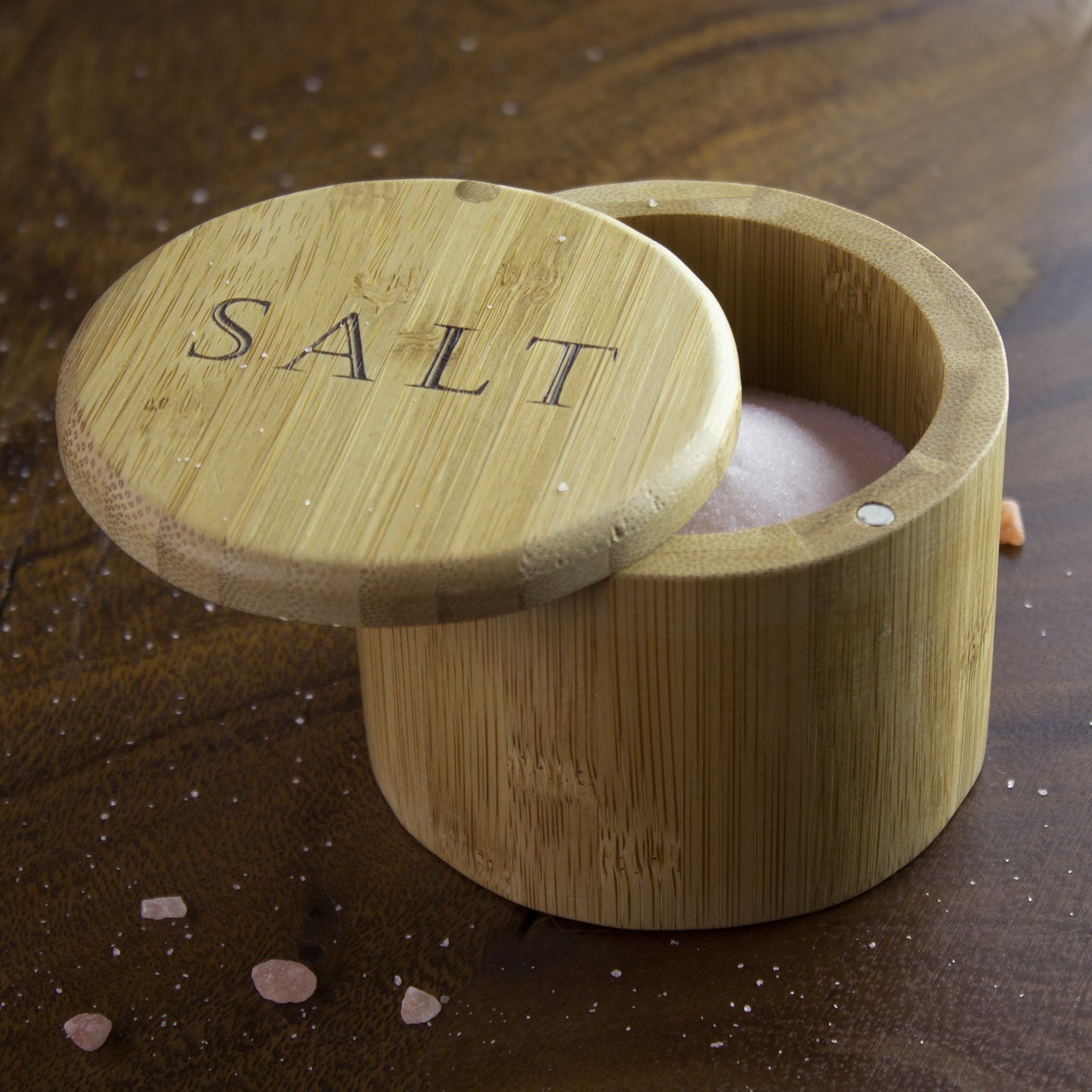 Salt Box with Magnetic Swivel Lid