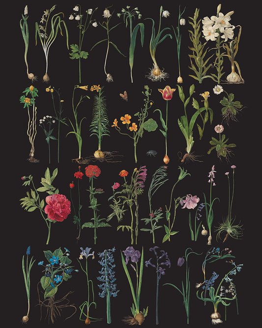 Annie Sloan Decoupage Paper - Formal Garden